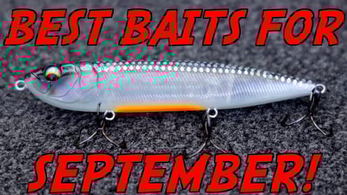 DON'T Go Fishing WITHOUT These 3 Lures in SEPTEMBER!