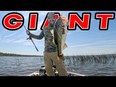 Texas Rigs And Shallow Cover! (Creature Baits And Craws For BIG Bass)