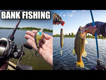 Summer Bank Fishing | New Topwater Lure and My Custom Crankbait