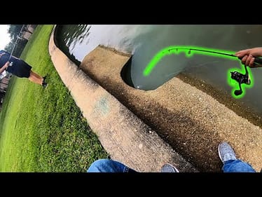 BIG FISH are INSIDE STORM DRAINS!! (Multi-Species)