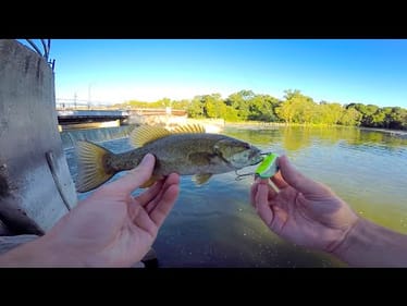 I catch really big fish