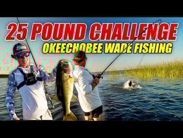 25 POUND BASS CHALLENGE! - Lake Okeechobee Wade Fishing