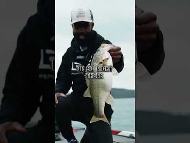 Carolina Rig Fishing For Giants on Lake Hartwell!