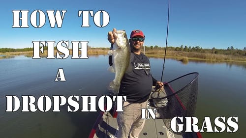 A Different Way to Fish a Dropshot Rig