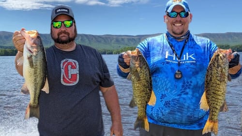 Grubs and Swimbaits For Post Spawn Bass