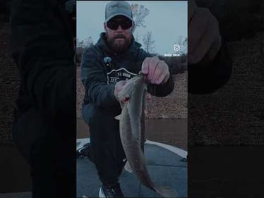 Ending the year catching winter bass on what I trust 🎣 #bassunionjigs👌#bassunion