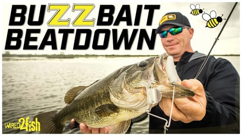 Catch More Fish with Buzzbaits | Expert Tips and Tricks
