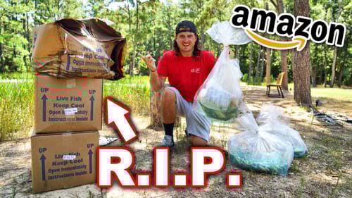Ordering $500 POND STOCKING Fish from Amazon turns into a DISASTER.