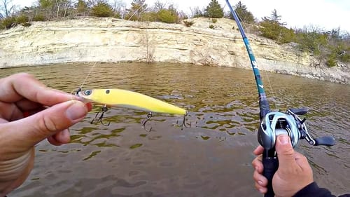 Fishing MUDDY Water for FAT Spring Bass!!