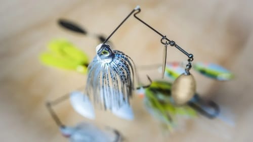 Spinnerbait Tricks For Spring Bass Fishing