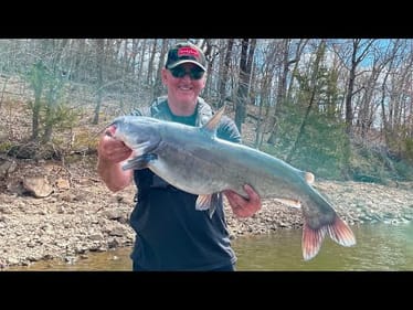 Catching Catfish While Bass Fishing…Most Anglers Are CLUELESS About What This Means..