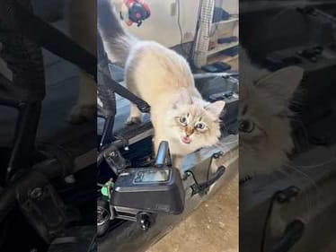 Back off Wendell... My Kayak