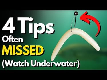 Get Your BEST Wacky Rig Results This Year (4 Tips Often Overlooked)