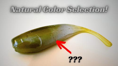 Are Natural Colored Fishing Lures The Best Choice?