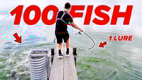 Fisherman's Heaven - CRAZIEST Day of Fishing (MUST WATCH)