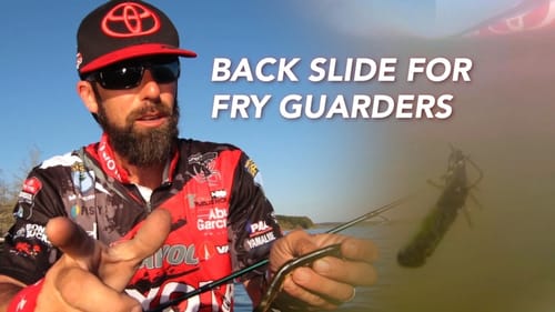 Use the French Fry Rig to Catch Fry Guarding Bass