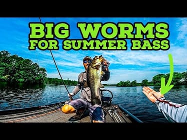 Throwing BIG WORMS For DEEP Summer BASS!! || Summer Bass Fishing