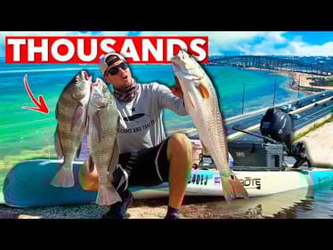 Thousands of Fish in This Spot? Easy Way to Fill the Freezer - Unseasoned Drum