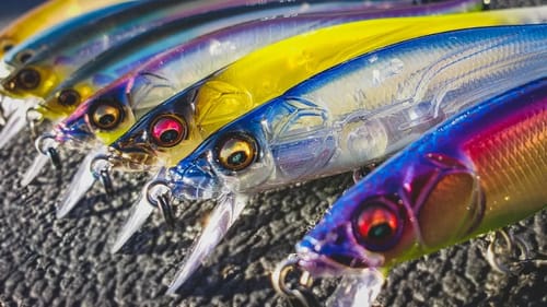 Easy Jerkbait Tips For Bigger Spring Bass