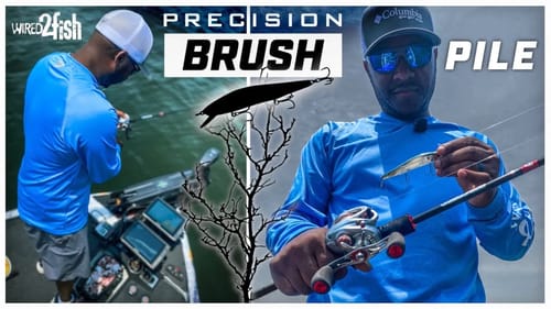 How to Catch Bass from Brush Piles | 1-2 Punch