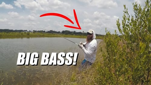 Searching for a NEW PB Largemouth Bass!