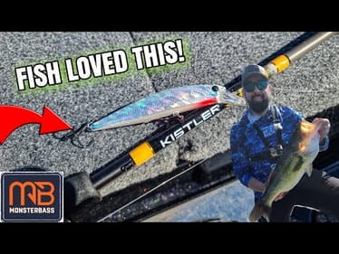BIG Bass at SURPRISE Lakes (Jerkbait and Ned Rig WORKED!)