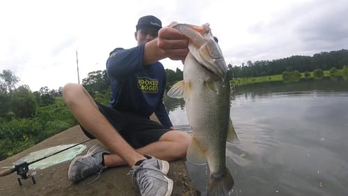 Hurricane Bassin