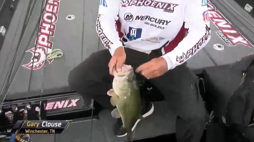 Diverse fishing at Cayuga Lake