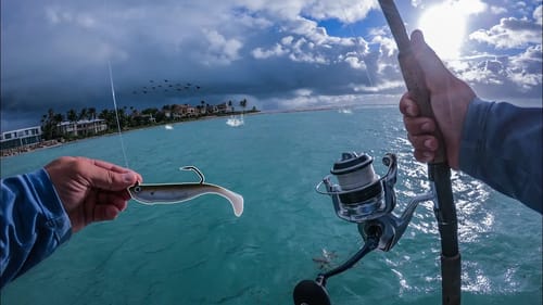 Fishing During a Feeding Frenzy in a Huge Inlet During a Storm