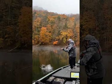 Fall bass Can’t Resist