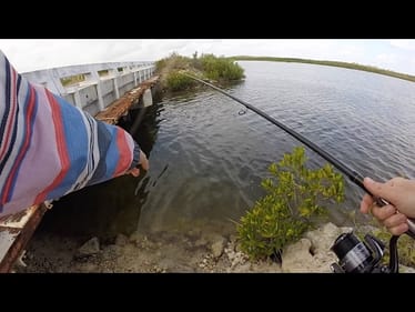 Trip Outside the Resort - Fishing Bridges in Cuba! | Cuba Ep. 4