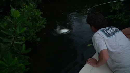 Bugs were INSANE, but fish were LOADED back here!