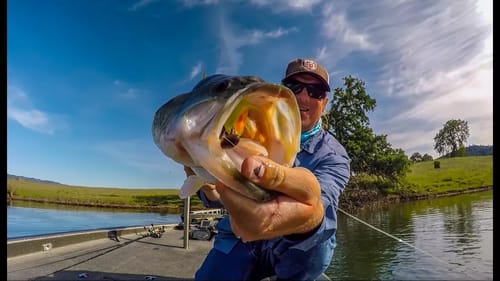 How To Sight Fish When Its NOT EASY!