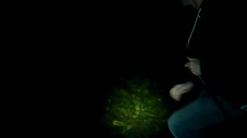 Nightfishing 9/6/10