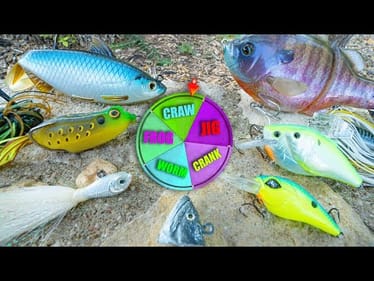ROULLETE FISHING LURE CHALLENGE (WHO WILL WIN??)