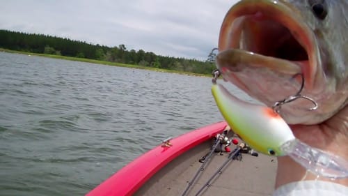 Bass Fishing with Strike King Crankbaits.