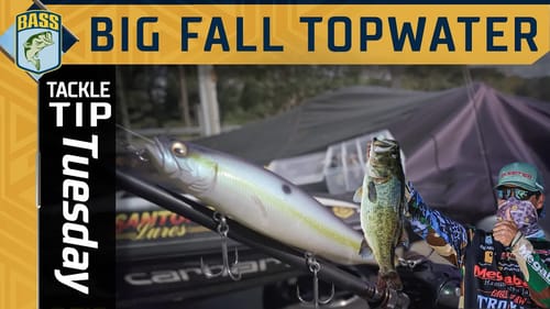 Fishing BIG Topwater lures for BASS in the Fall