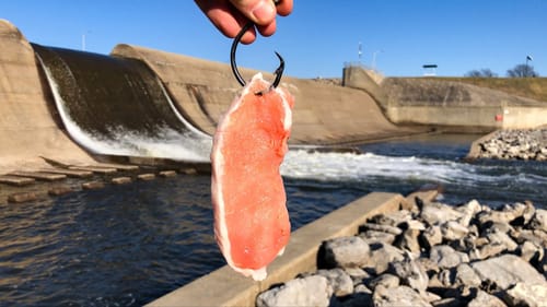 I Thought I Was SNAGGED... Then it Started Swimming!!!