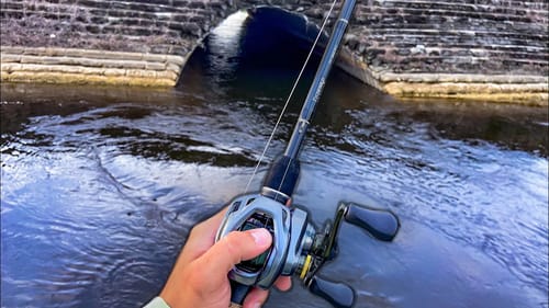 Crazy Urban Canal Fishing After a Tropical Storm
