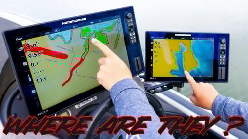 Where Do Bass Go In Spring? (And How To Catch Them In The Prespawn)