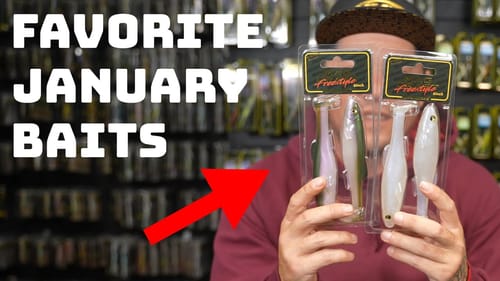 Try These 5 Baits To Catch Cold Water Bass In The Month Of January!