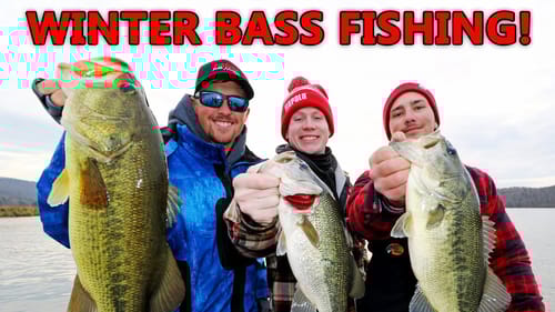 ALABAMA RIG Fishing In The WINTER For BIG BASS! (MO BLING RIG)
