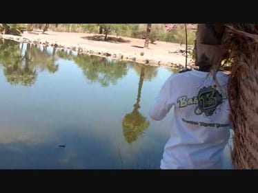 Spring Pond Fishing