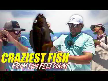 CRAZIEST Looking Fish CAUGHT in 1,000 feet of Water! - Vice Versa Fishing Charters