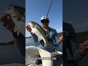 Lowering sensitivity filters out weaker returns—helping you focus on big fish  #lowrancepartner