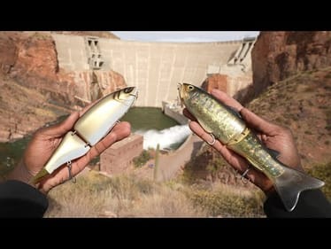 Fishing Big Glide Baits Here Pays Off With Multiple Aggressive Fish!