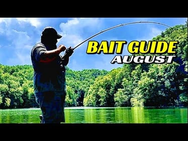 The DEADLIEST Bait Pairings for August Bass Fishing