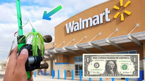 $1 Walmart Spinnerbait Fishing Challenge!! (Suprising)
