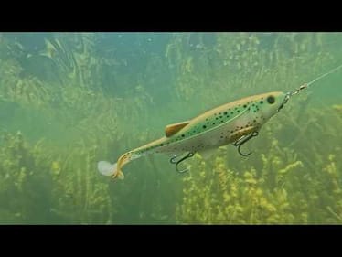 Your NEW Favorite MULTI SPEED Swimbait   Biwaa Kapsiz HD Tackle Breakdown