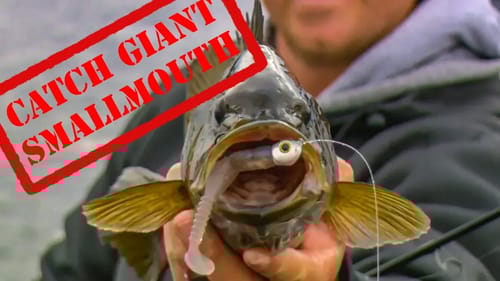 WIN at BASS FISHING! Winter Smallmouth Secrets with Mueller